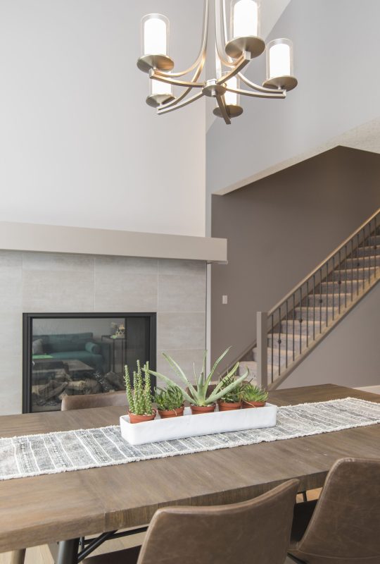 hermosa-foto-de-una-casa-moderna-comedor-con-plantas-y-chimenea-scaled